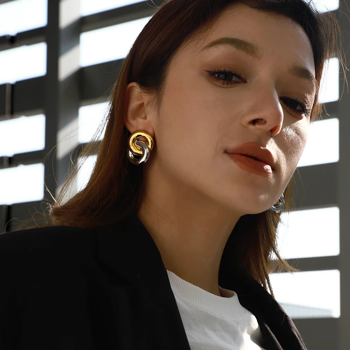 Dual-Tone Interlinked Earrings